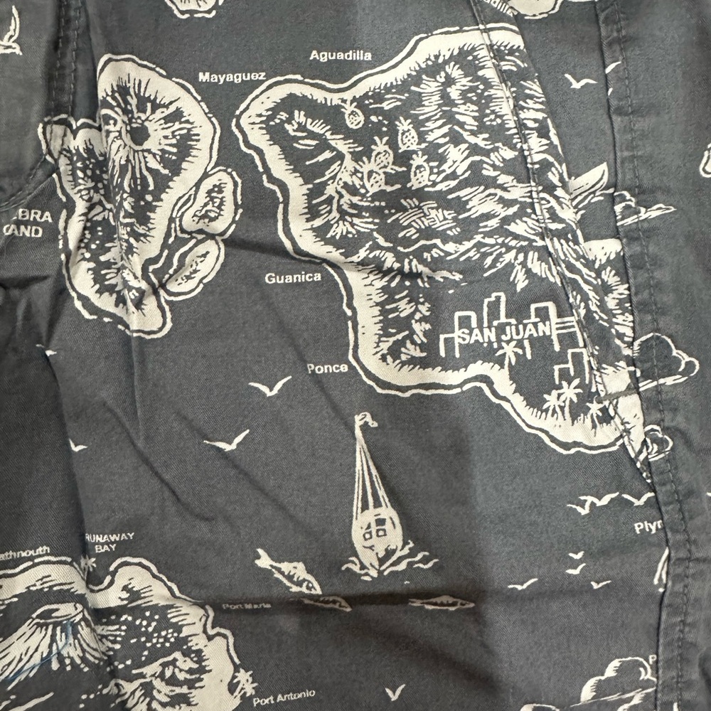 GAP Map Pattern Straight-Leg Shorts - - Picture 3 of 8